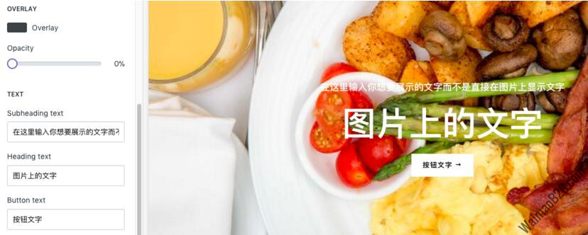 shopify主题设置